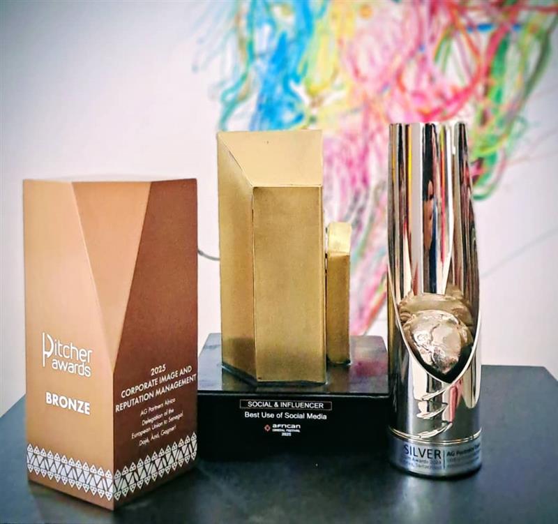 Pitcher Festival - visuel 2